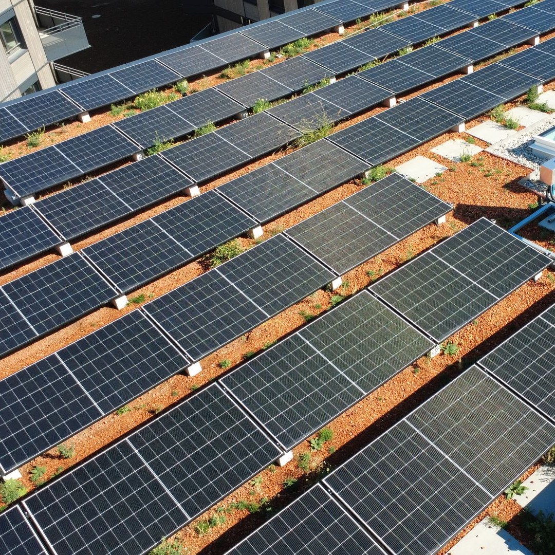 Panneaux photovoltaïques sur une toiture végétalisée du quartier Gruvatiez à Orbe.
